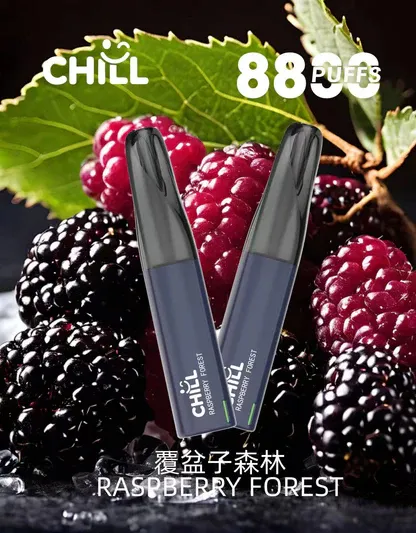 001-13.webp CHILL 鴨嘴獸 8800|派對社交焦點時刻|體會豐富香氣輪廓與溫柔空氣回饋