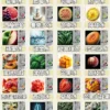 0ed3dd6ea8fc8d53b938a5ce635e7bcc.webp TOKYO MOHOO BOX東京魔盒專用煙彈|戶外休閒穿搭|展現純淨口感與精準氣流反饋【滿3盒加100贈主機】超值特惠