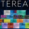 IQOS TEREA 日本境內版加熱煙彈｜社交應酬場面｜賦予焦香觸感還原與深度回甘體驗表現