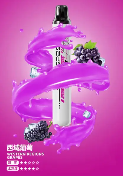 SP2S-拋棄式一次性5000口【免充電款】-2.webp SP2S 系列 5000 型冰萃版 | 辦公室高壓提神時刻 | 清涼口感瞬間掃除疲憊展現溫潤喉韻