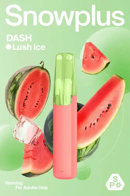 Snowplus DASH 4000 口一次性電子煙｜社交應酬首選｜具備細膩層次感釋放與精準分子化還原工藝