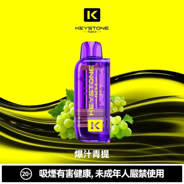 KEYSTONE FLEX-3 鑰石 25000口磁吸換彈拋棄式電子煙套裝｜日常外出隨身攜帶｜三段功率調節搭配Mesh網芯展現穩定霧感與滿足口感層次【買一盒煙彈送主機】
