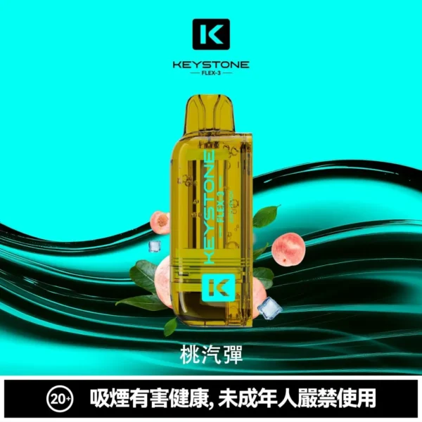 KEYSTONE FLEX-3 鑰石 25000口磁吸換彈拋棄式電子煙套裝｜日常外出隨身攜帶｜三段功率調節搭配Mesh網芯展現穩定霧感與滿足口感層次【買一盒煙彈送主機】
