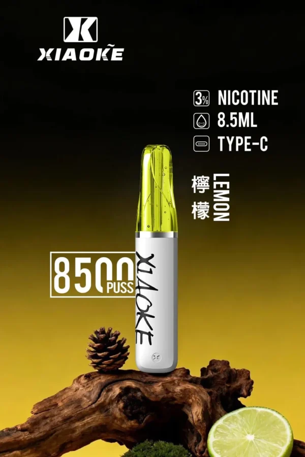 XIAOKE 梟客 8500口拋棄式電子煙｜日常通勤隨身攜帶｜穩定輸出保持綿密霧感展現持久且均衡的口感層次觸感
